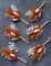 Dried Flower Bouquet (Pack of 6), Fall Dried Flower Bouquet, boutonnieres for Groom and Groomsmen.